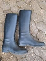 Reitstiefel Gr. 41 Nordrhein-Westfalen - Detmold Vorschau