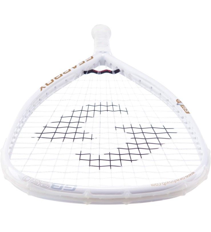 Gearbox GB250 feather 165 quad racquet racquetball Schläger in Stapelfeld