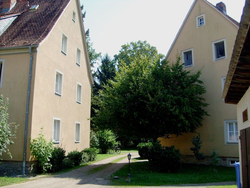Renovierte EG -2 Zimmer Whg. im Grünen in Münsterschwarzach in Schwarzach am Main