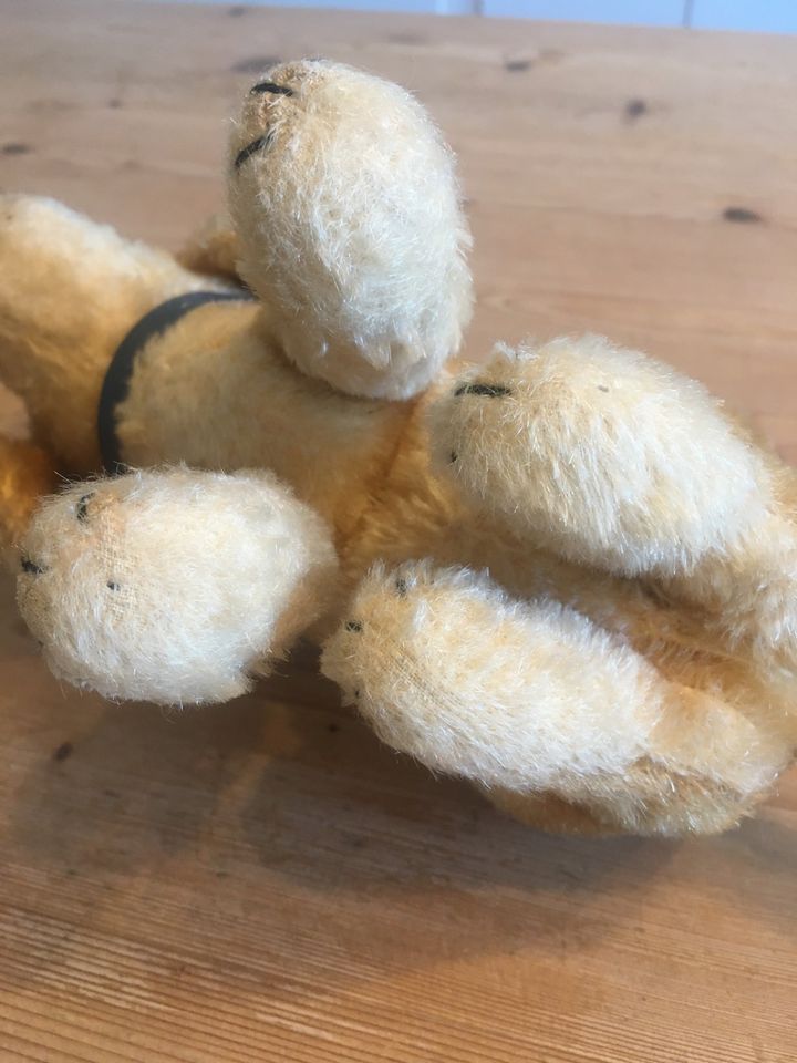 Dackel Steiff vintage alt Hund Plüschtier Geschenk in Berlin