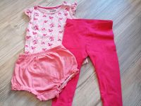 Set Tshirt Leggings Shorts 74 80 Mädchen Baden-Württemberg - Oberkirch Vorschau