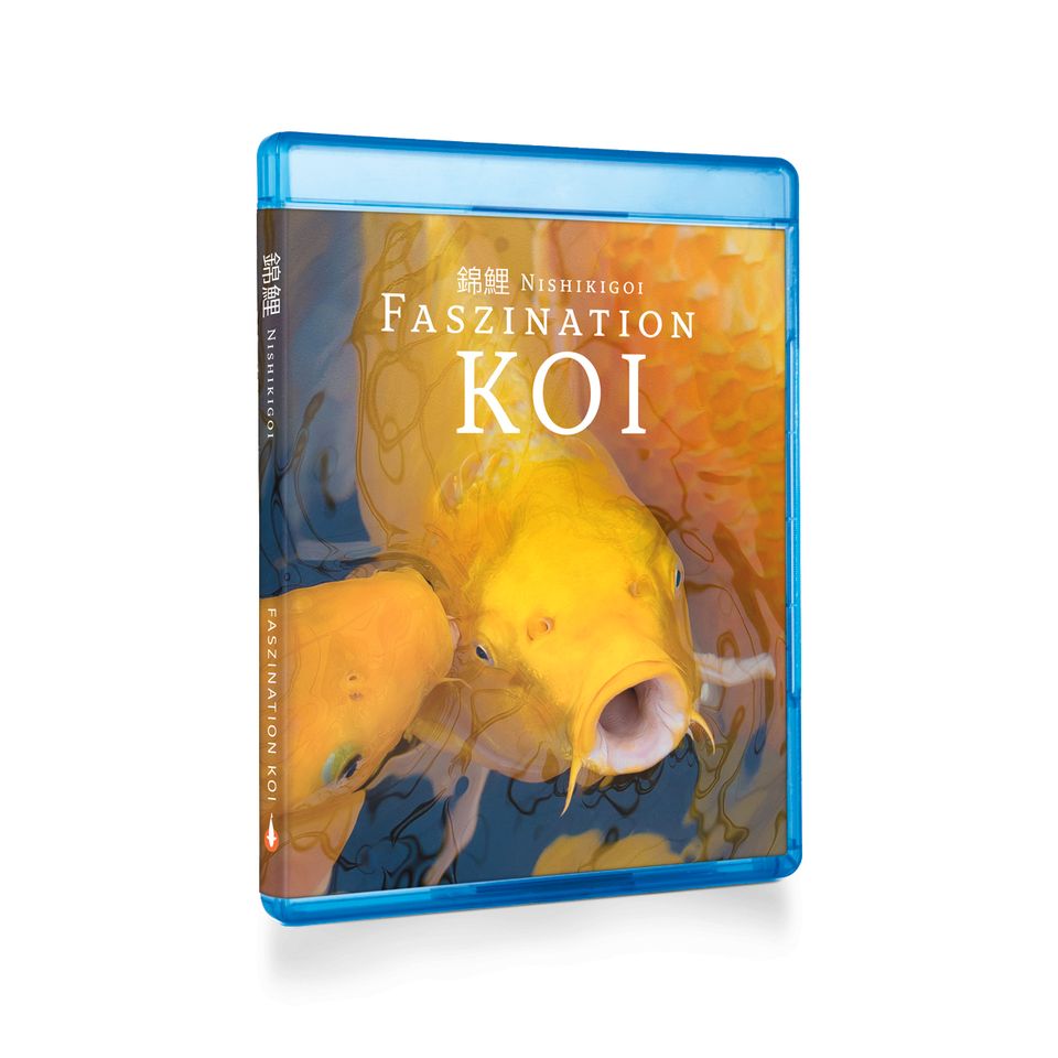 Koi Film Ratgeber - Faszination Koi | BluRay BOX (Teil 1-3) in Waldfeucht