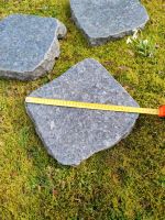 3 Trittplatten Rasentrittsteine Liegesteine dunkelgrau poliert Bayern - Coburg Vorschau