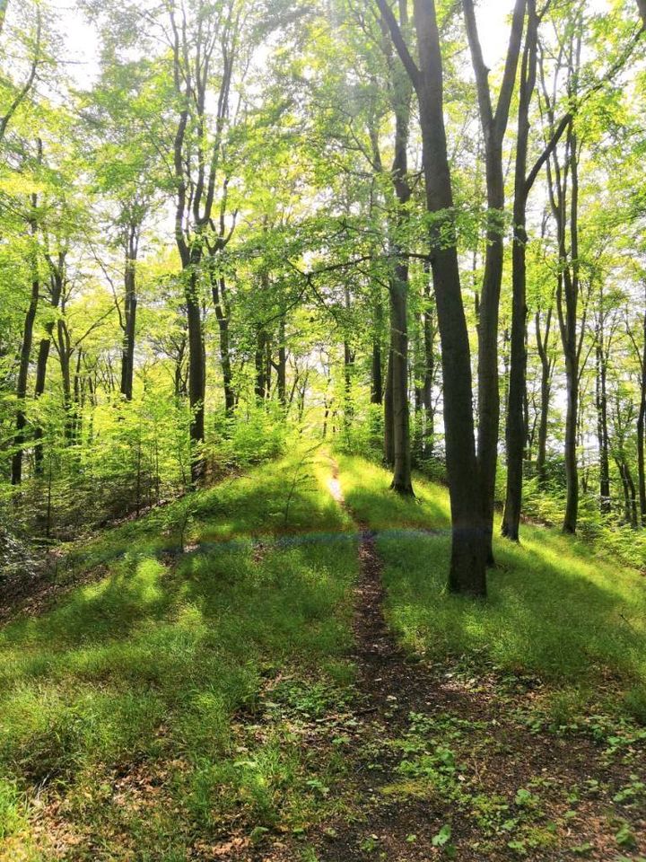 Waldgrundstück zu pachten gesucht in Hiddenhausen