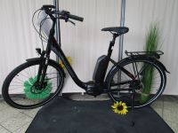 Neu %% E-Bike Damenfahrrad Raleigh Stoker LTD XXL Bosch 500 Wh Niedersachsen - Salzhausen Vorschau