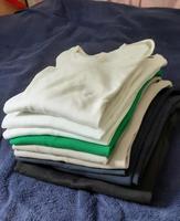 CECIL T-Shirts langarm diverse Farben Größe L Niedersachsen - Beckedorf Vorschau