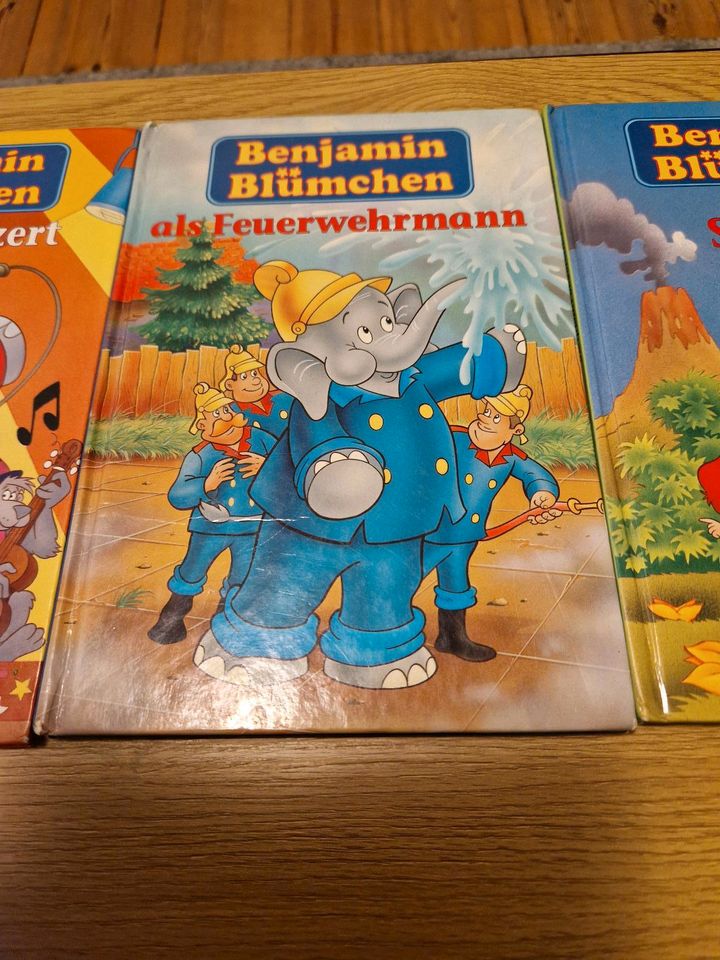 3 Benjamin Blümchen Bücher in Berlin