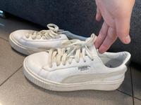 Puma Basketball Sneaker Schuhe Hessen - Bischofsheim Vorschau