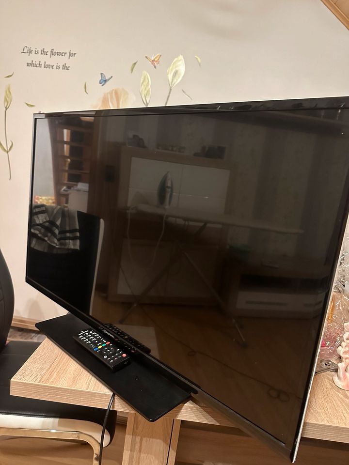 Panasonic Fernseher 39 zoll in Hankensbüttel