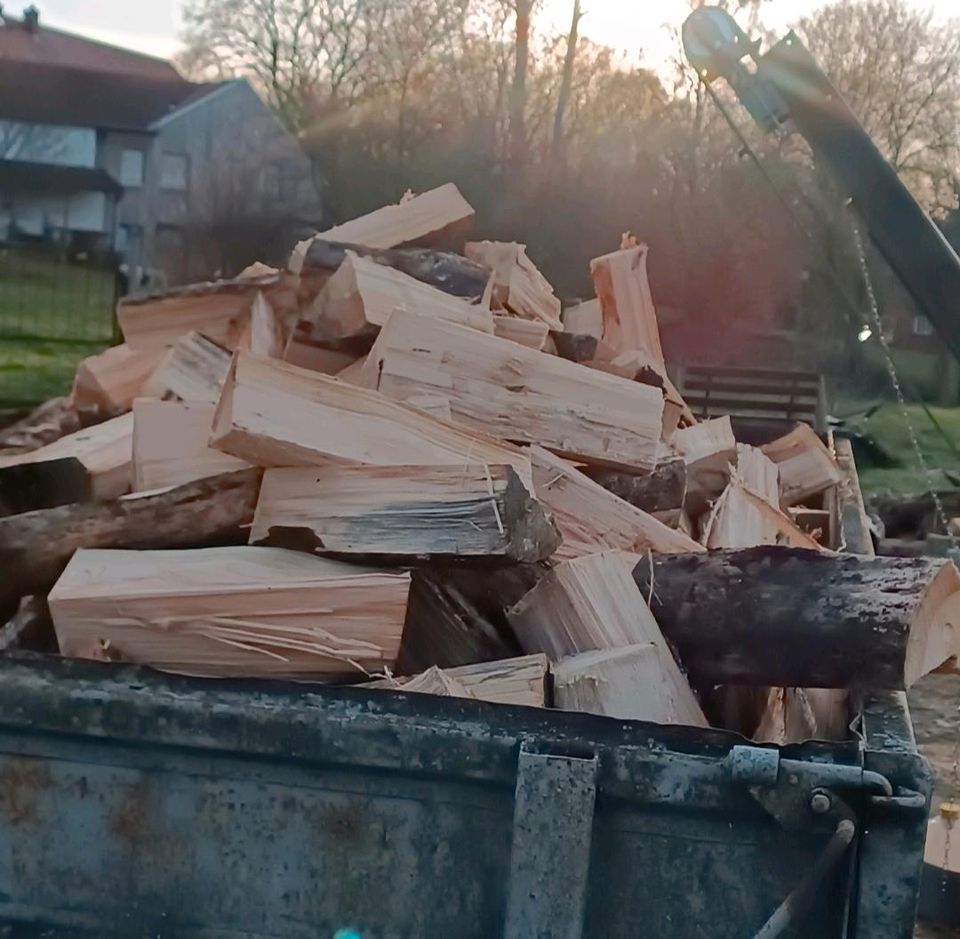 Brennholz Kaminholz Scheitholz Feuerholz in Lieberose