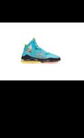 Neue  LeBron 19 ,,Christmas Edition“ Basketballschuhe in Gr.45,5 Niedersachsen - Staufenberg Vorschau
