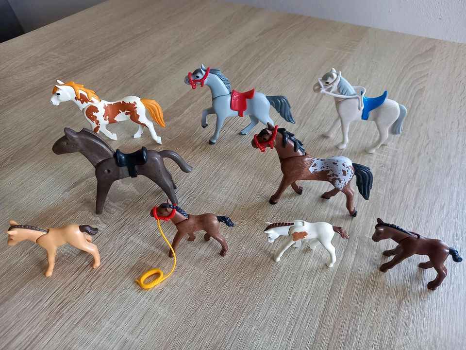 Playmobil Pferde in Neuenkirchen