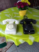 2 alte Telefone zusammen 70€ Brandenburg - Fürstenwalde (Spree) Vorschau