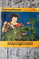 SAMMELBILDER-ALBUM Zimmerpflanze gut gepflegt Die Rheinpfalz 1964 Rheinland-Pfalz - Mutterstadt Vorschau