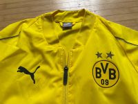 NEU ! BVB 09 Trainigsjacke Dry Cell Gr. 164 13-14 J. Kinder XL Düsseldorf - Unterbach Vorschau