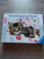 Puzzle von Ravensburger Aufgewecktes Kätzchen 1000 Teile Niedersachsen - Laatzen Vorschau