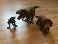 Schleich Dinosaurier Set Sachsen - Weinböhla Vorschau