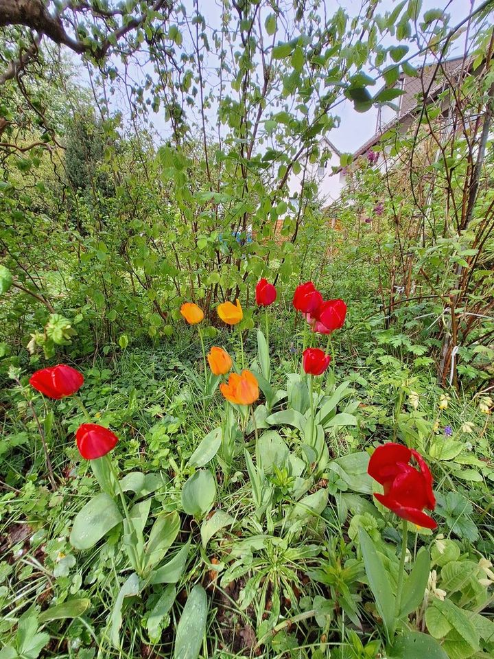 Geräumiges Endreihenhaus im Mühlbachtal in Hamburg