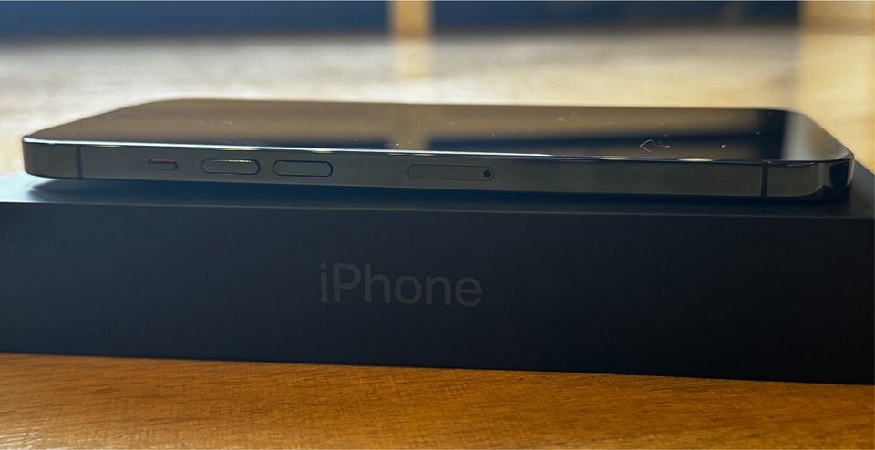 iPhone 12 Pro Max blau 256GB Neuwertig in Koblenz