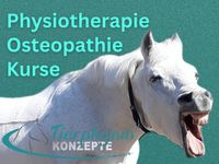 Pferdeosteopathie | Pferdephysiotherapeutin Nordrhein-Westfalen - Euskirchen Vorschau