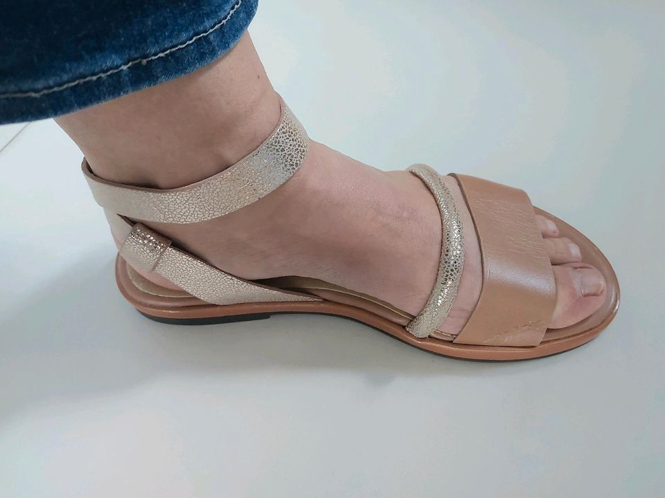 NEU Sandalen GEOX Größe 36 in Herzogenrath