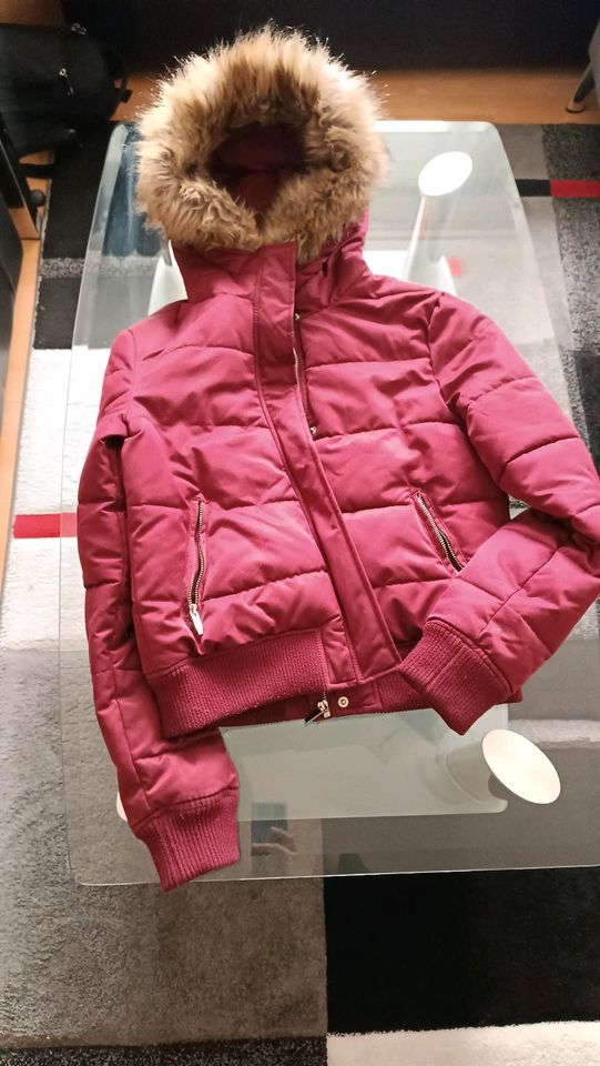 Steppjacke Winterjacke Daunenjacke Jacke kurz mit Kapuze in Augsburg