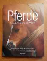 Pferde - mit der Mähne im Wind Hessen - Liebenau Vorschau