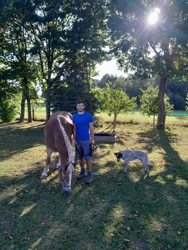 EXTREME TRAIL, Training f. Pferde & Mensch, Horsemenship 08.06. in Eschlkam