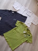 Herren Shirts Gr. M Paket Brandenburg - Potsdam Vorschau