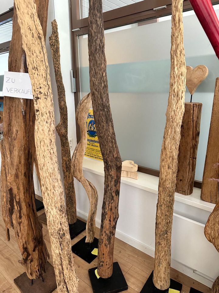 Treibhölzer auf Ständer Deko Art Kunst Dekor Holz in Mühldorf a.Inn