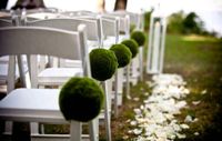 Stühle Hochzeit freie Trauung weiße Klappstühle Wedding Chair Bayern - Bad Bocklet Vorschau