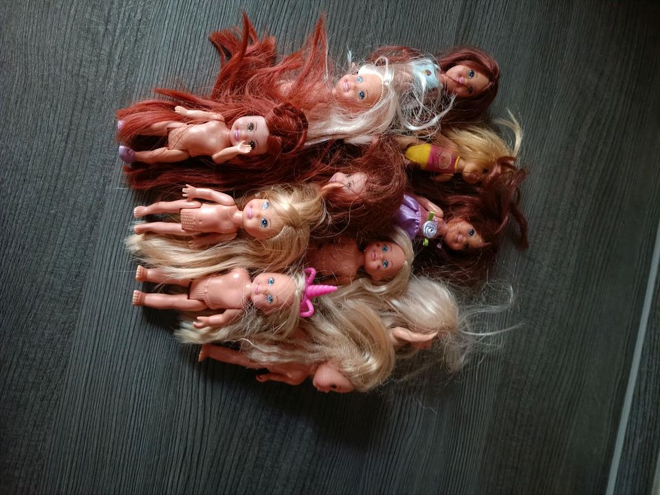 Riesen Barbie/Puppen Set zu verkaufen in Börm