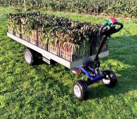 Zallys Jespi Baumschulen Grünflächen Elektroschlepper Blumenzucht Bayern - Dorfen Vorschau