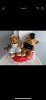 Hochzeit Teddy NEU Hessen - Wehretal Vorschau