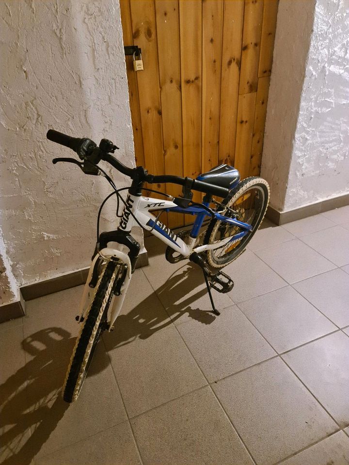 Kinderfahrrad von Giant in Eppstein