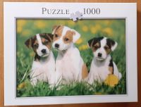 Puzzle 1000 Teile "Jack Russel Welpen" Niedersachsen - Nienburg (Weser) Vorschau