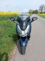 Honda Forza 300 Schleswig-Holstein - Preetz Vorschau