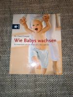 Buch Wie Babys wachsen Entwicklung bis 3 Jahre carol Cooper Dithmarschen - Meldorf Vorschau