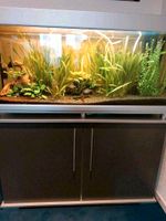 Aquarium 240 Liter komplett mit Schrank-Filterpumpe-Licht-Heizung Nordrhein-Westfalen - Willich Vorschau