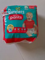 Pampers Baby-Dry Pants Gr. 4 Baden-Württemberg - Erlenbach Vorschau