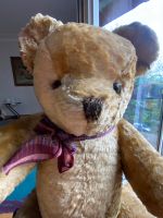 Teddy Höhe 65 cm Frankfurt am Main - Bornheim Vorschau