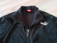 Puma Fleece Jacke, Puma Jacke, Größe  164 , schwarz Hessen - Alsfeld Vorschau