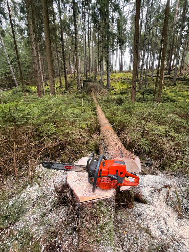 Holzeinschlag Holzrückung Baumfällungen Baumpflege Stubbenfräsen in Zwoenitz