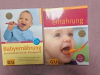 Babyernährung Rheinland-Pfalz - Idar-Oberstein Vorschau