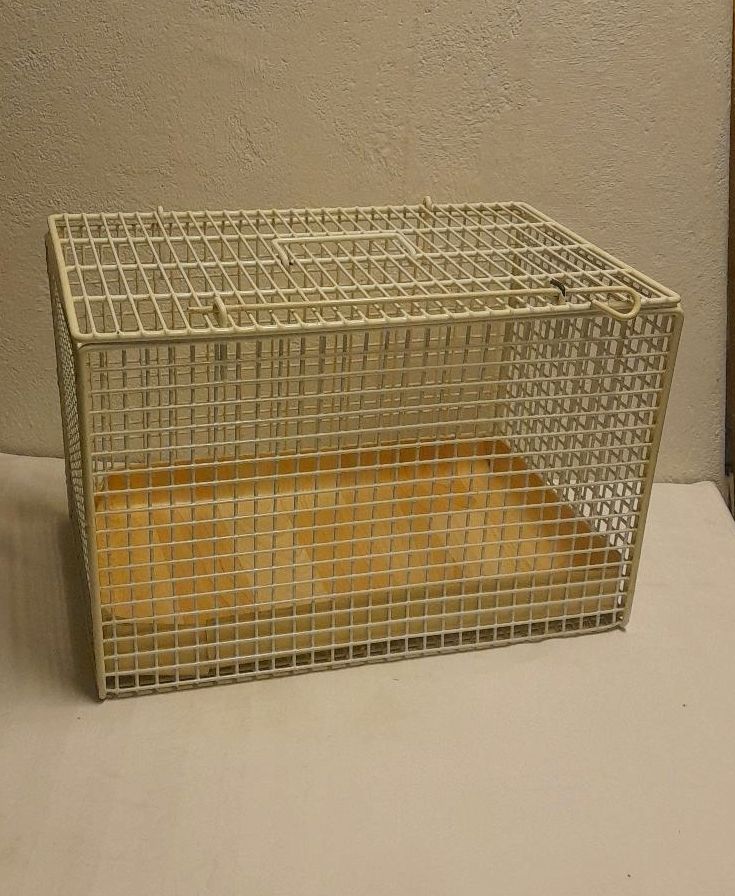 Transportbox Haustier Vogel Katze Gitterbox Metall sehr stabil in Schortens