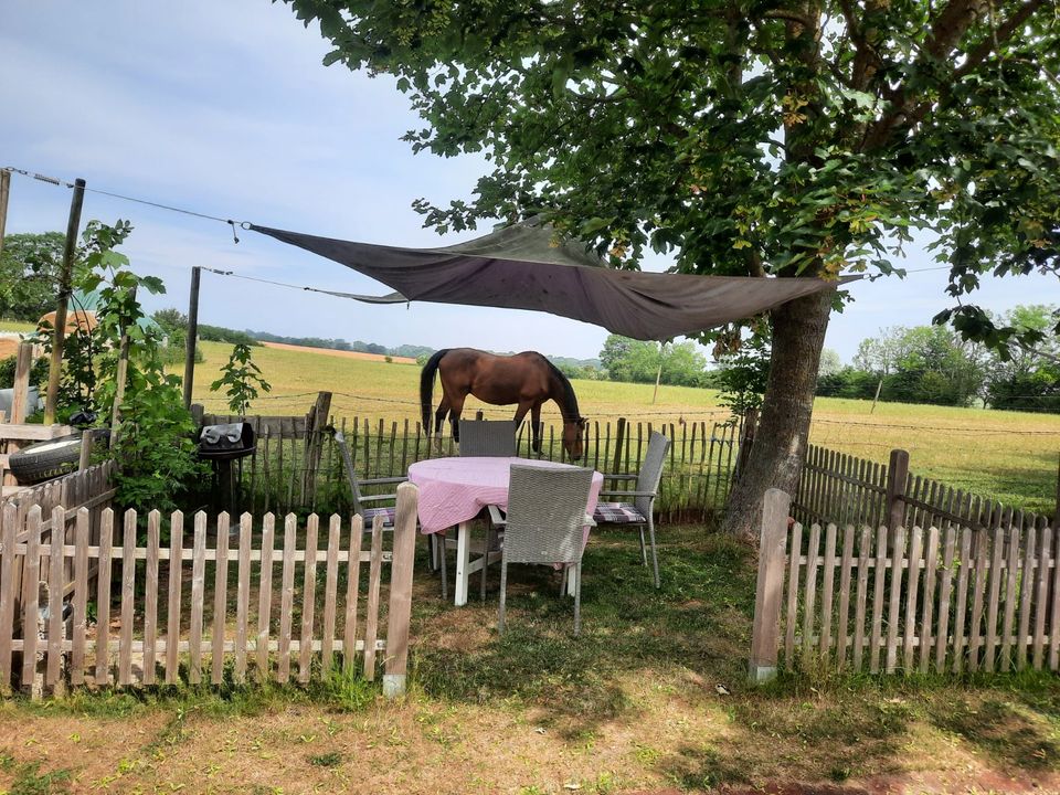 Ferienwohnung an der Ostsee Nähe Weißenhäuser Strand in Heringsdorf