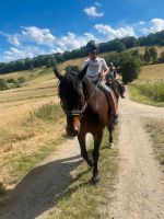 Wochenlehrgang viel Spaß mit Pferden Niedersachsen - Bad Harzburg Vorschau