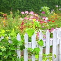 Pensionär sucht gemütliches Häuschen mit Garten! Nordrhein-Westfalen - Arnsberg Vorschau