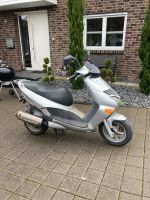 Aprilia Leonardo 125 Verkleidung Nordrhein-Westfalen - Königswinter Vorschau