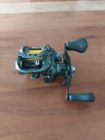 Daiwa Tatula TWS SV TW 8.1 Sachsen - Wurzen Vorschau